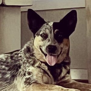 Meet your Posher, Leslie